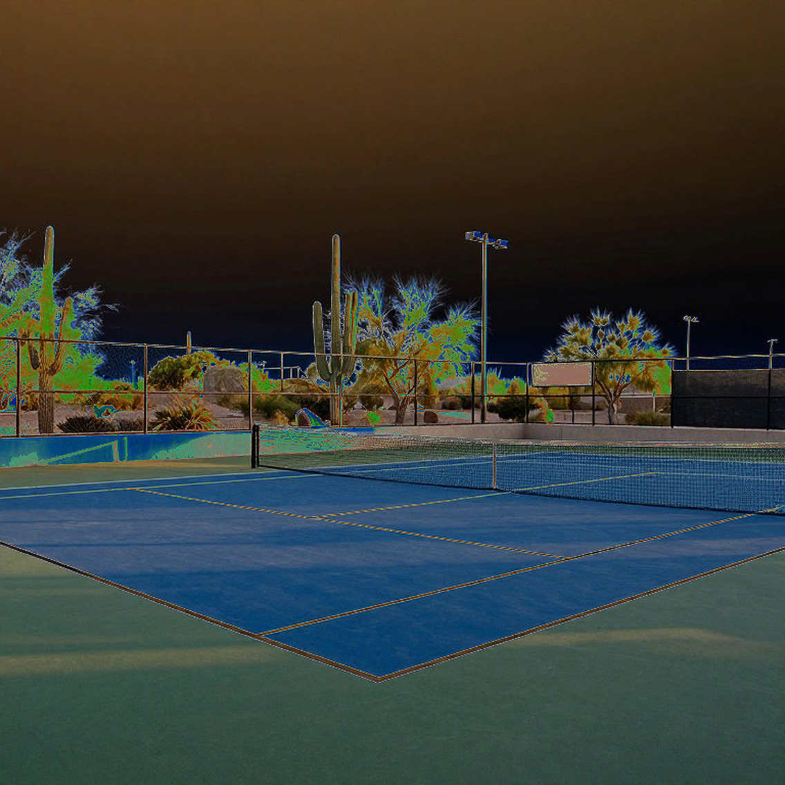 The Empty Draw Sheet: When Tennis News Never Arrives